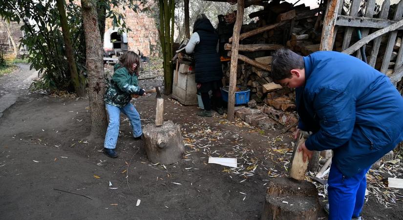 Kicsi Szép Tanya: egy kivételes hely, ahol a gyerekek úgy tanulnak, hogy észre sem veszik