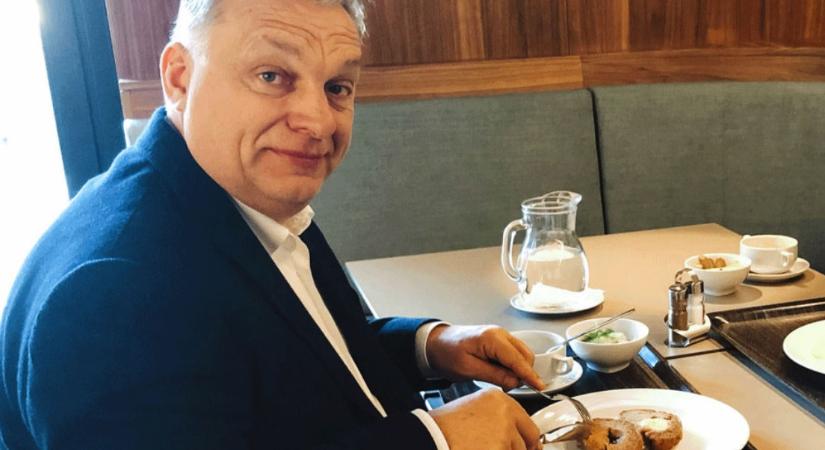 Csirkeláb – avagy a miniszterelnök étvágya – Józsa Márta jegyzete