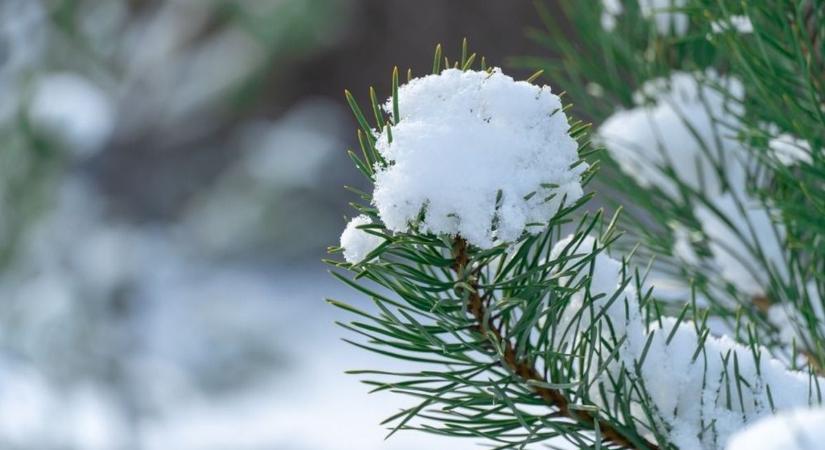Már nem kell sokat várni, nemsokára kiderül, hogy lesz-e rendes tél és hó karácsonykor is