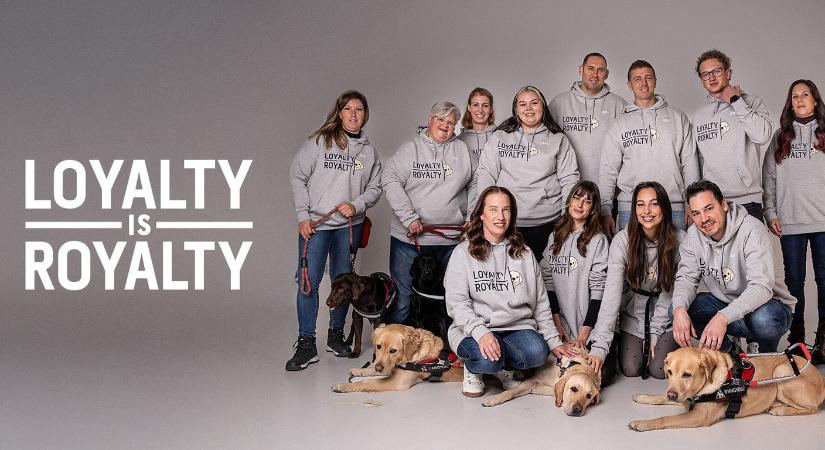 Adj szeretettel, ajándékozz jó ügyet, 11 éves a Dorko Loyalty is Royalty programja