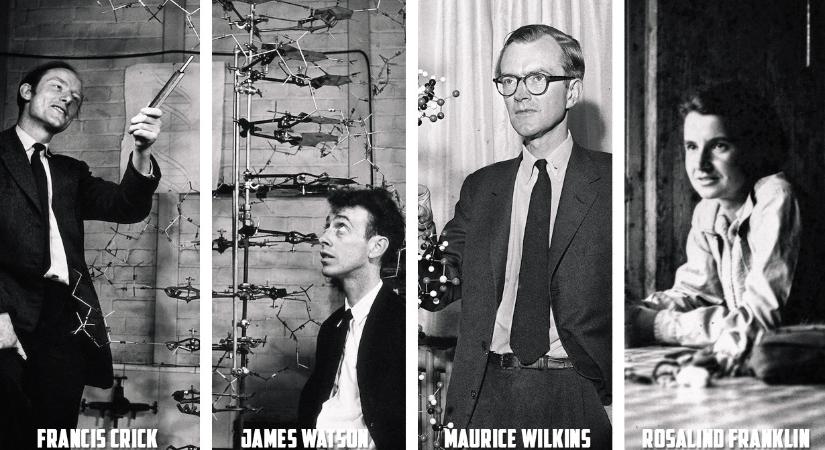 Tényleg egy nőtől vették el a 20. század egyik legnagyobb felfedezését, amiért három férfi kapott Nobel-díjat?
