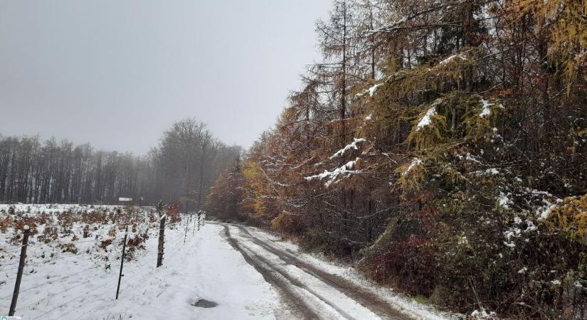 Lassan búcsút vehetünk a nagy fehérségtől
