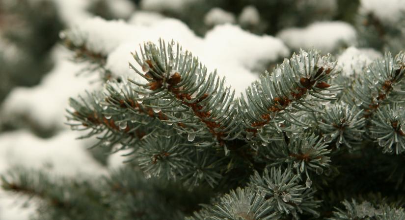 Akkora havazás kezdődött, amilyen már nagyon rég volt Magyarországon