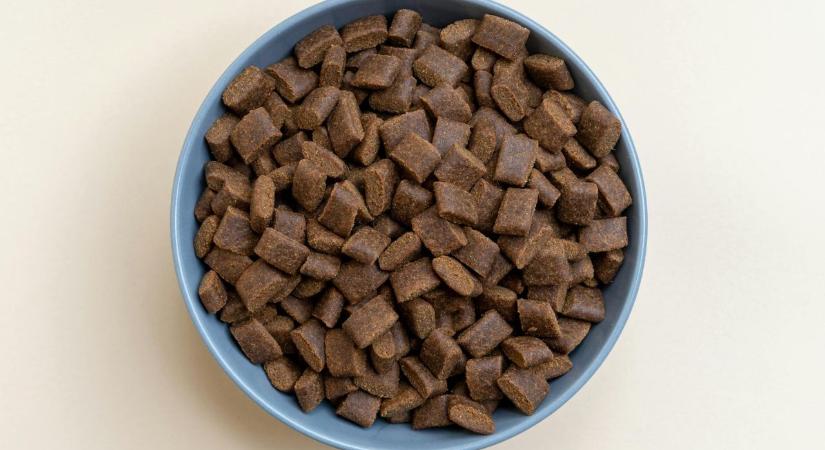 Ezért nem fűt többé a pellet, amit tavaly elraktál – és a kereskedők erről hallgatnak