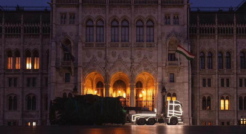 23 méteres ezüstfenyő lett az ország karácsonyfája, már meg is érkezett a Parlamenthez