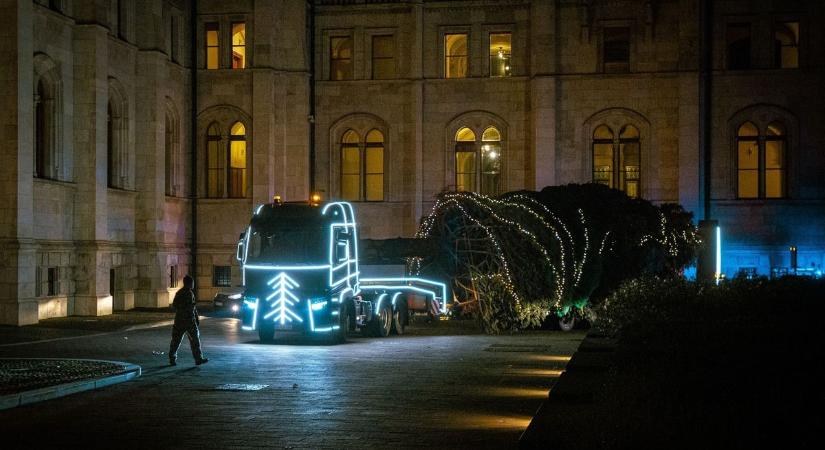 Megérkezett az ország karácsonyfája a Kossuth térre (videó)