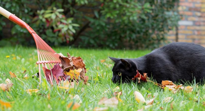 Téli „kert-spa”: a talaj és a fák kényeztetése