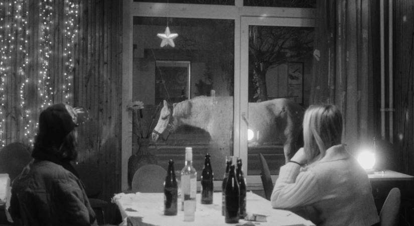 Generációs számvetés: közönségtalálkozóval debütál Olasz Renátó filmje Debrecenben