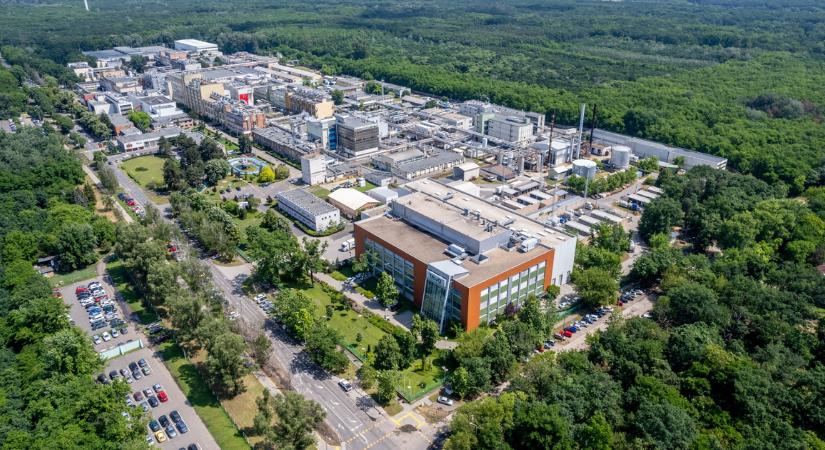 Orrfacsaró bűz terjeng Debrecenben, kiderült, ki a felelős