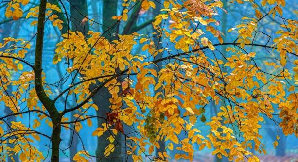 A télből az őszbe, aztán megint vissza