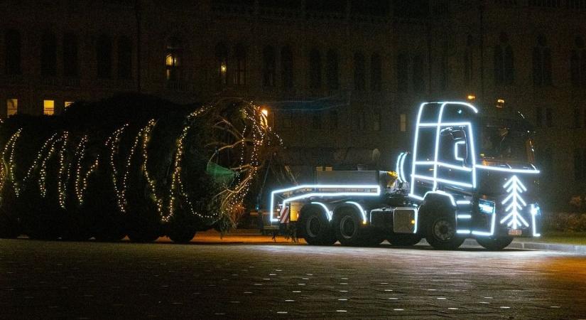 Nagy volt a kihívás: így érkezett meg az Ország Karácsonyfája a Kossuth térre (FOTÓK  VIDEÓ)