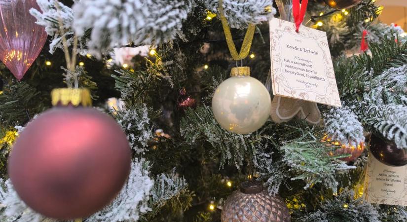 Egy doboz, egy mosoly: újra megtelt kívánságokkal a tatai karácsonyfa