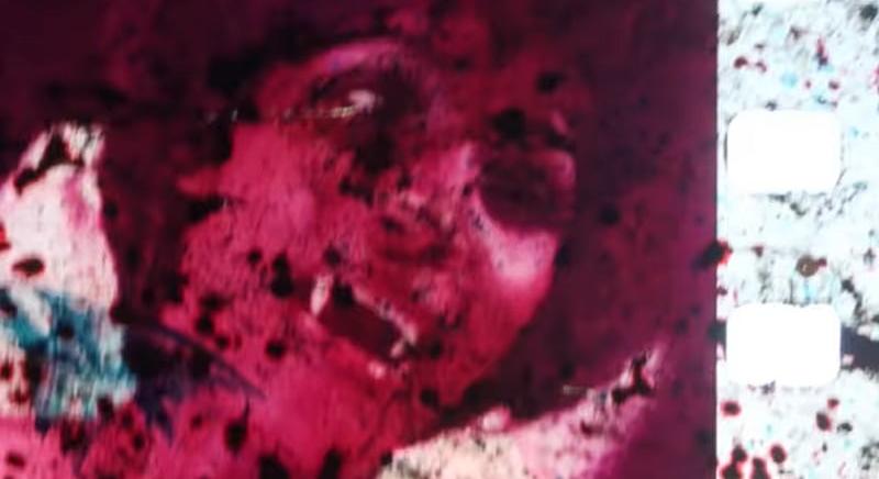 Rotterdamban mutatkozik be a gótikus erotikájú, horrorisztikus magyar Drakula-film