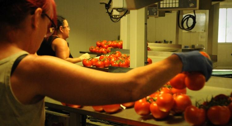 Pár nap, és indul a 20 milliárdos élelmiszeripari pályázat