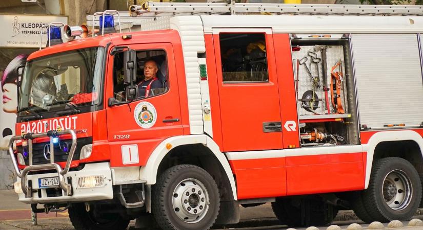 Tűzhöz és útra dőlt fához is riasztani kellett a tűzoltókat