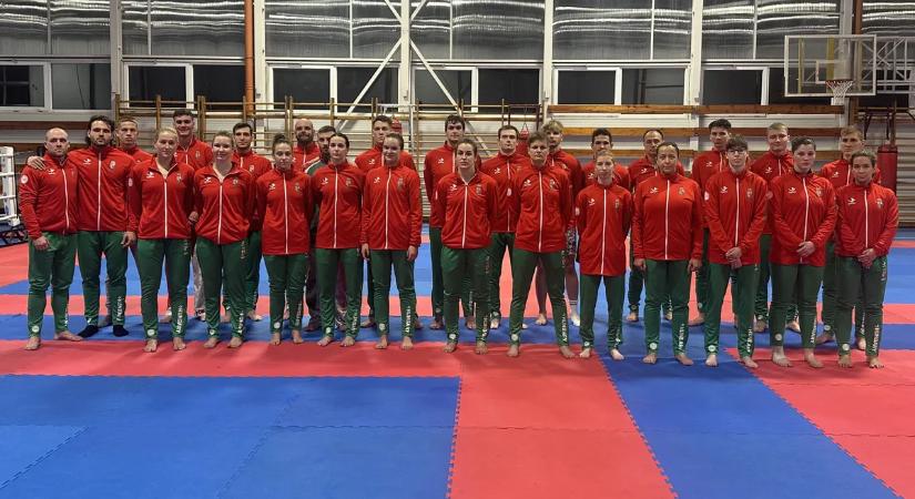 Kick-box: 49 magyar indul Abu-Dzabiban a világbajnokságon