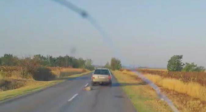 425 ezer forintos büntetést kapott az autója után kötött kutyáját több száz méteren át vonszoló férfi – az ügyészség börtönt kér