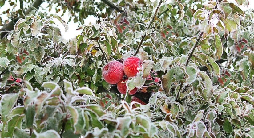 Óriási leállásról döntött a kormány ebben a térségben: nagy a baj