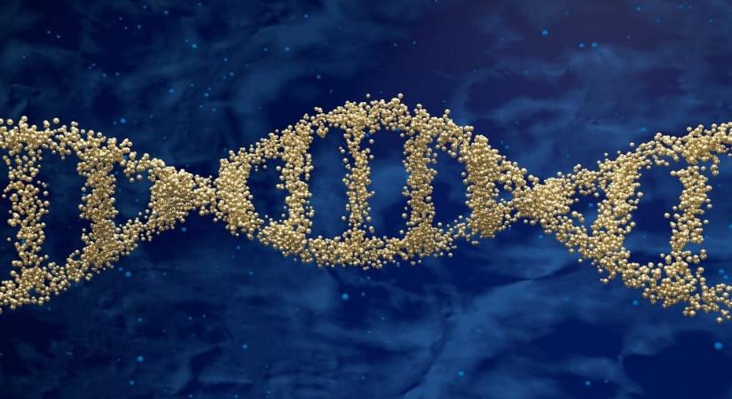 43 év után azonosították egy gyilkosság elkövetőjét