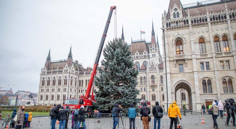 Itt az ország idei karácsonyfája, így érkezett meg Budapestre