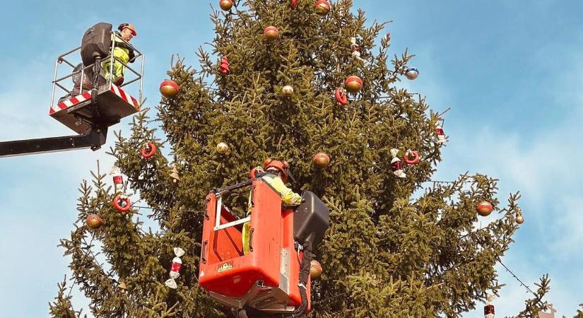 Megkezdődött a díszítés: egyre csinosabb a Széchenyi téren álló karácsonyfa