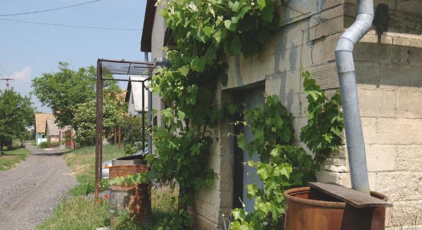 Mit csináljak egy zártkerti ingatlannal? Itt az ügyvéd válasza