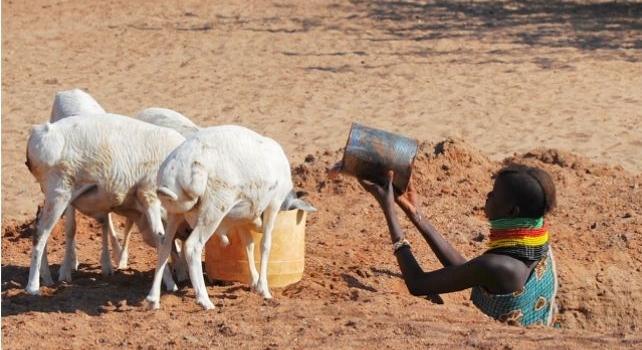 Most is zajlik az emberi evolúció, itt vannak a bizonyítékok