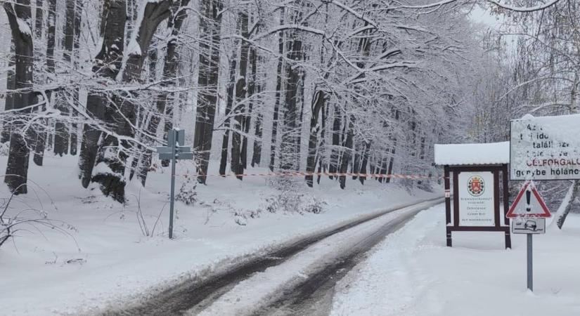 Lesápad a fuvaros, megizzad a buszsofőr ezen a bükki úton – jobb, ha el sem indulsz
