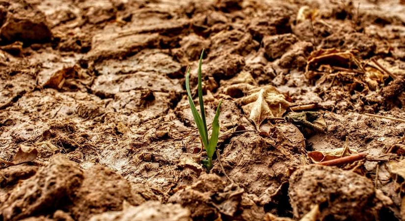 Példátlan per: egy belga gazda az olajvállalaton kéri számon a klímaváltozást