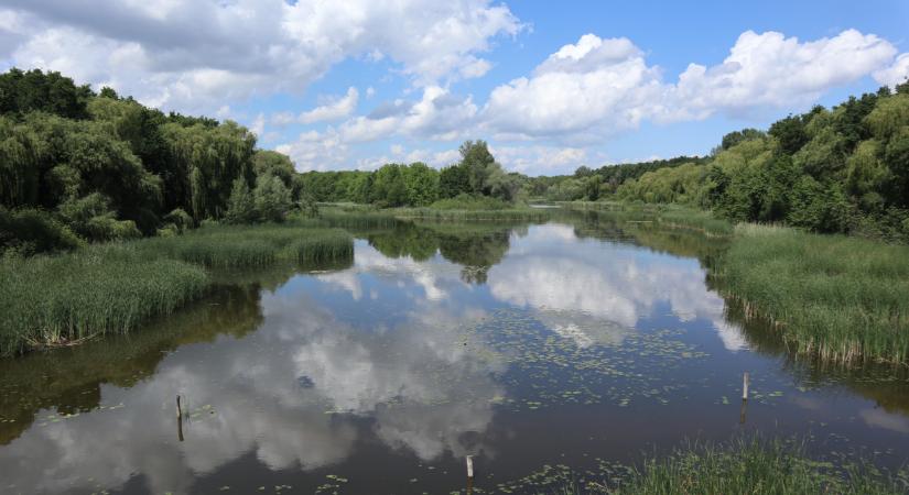 Tényleg ennyin múlik a Balaton jövője? Ezt most kell meglépni