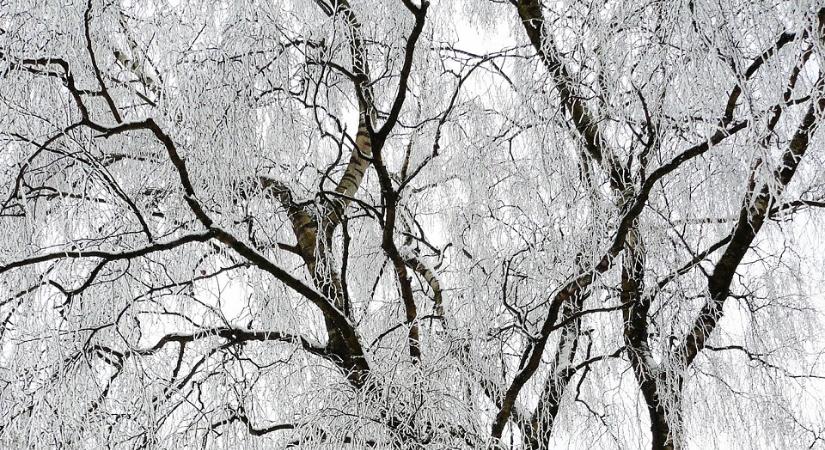 Hol bukkanhatnak fel a NAV revizorai november utolsó napjaiban?