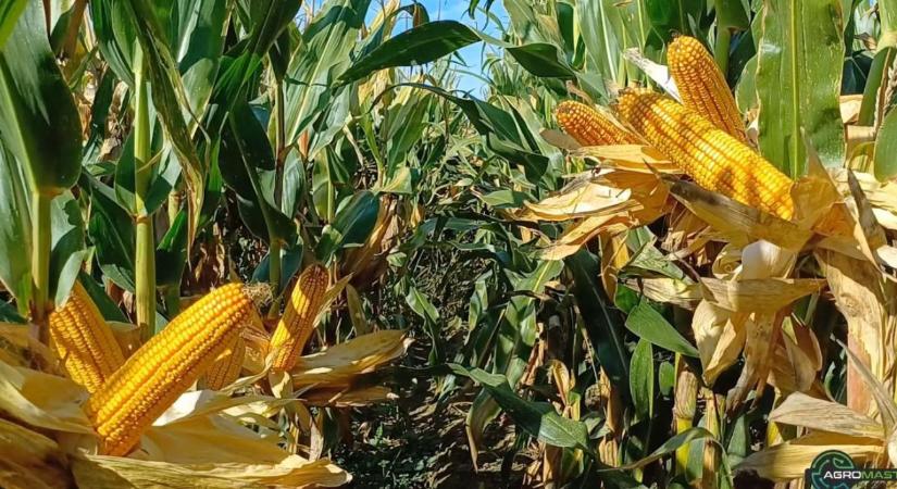 YIELD SHIELD a zsákba zárt technológia