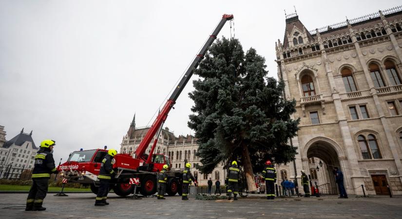 Hetekre a Kossuth térre költözött egy öttonnás behemót