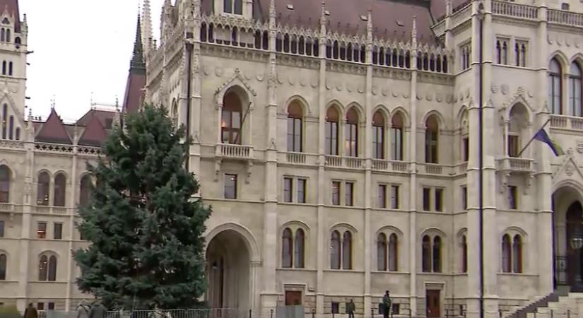 Advent első vasárnapjától teljes pompájában látható majd az ország karácsonyfája  videó