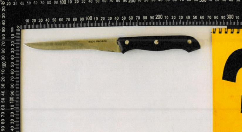 Vasvillával és késsel támadtak egy hétéves unokájával sétáló nagymamára