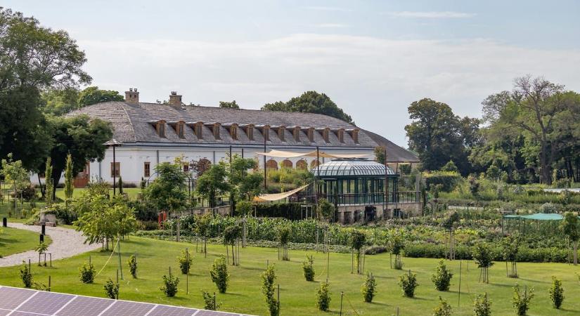 Családban marad: Hatvanpuszta építésében az Orbán-Tiborcz cégek is közreműködnek