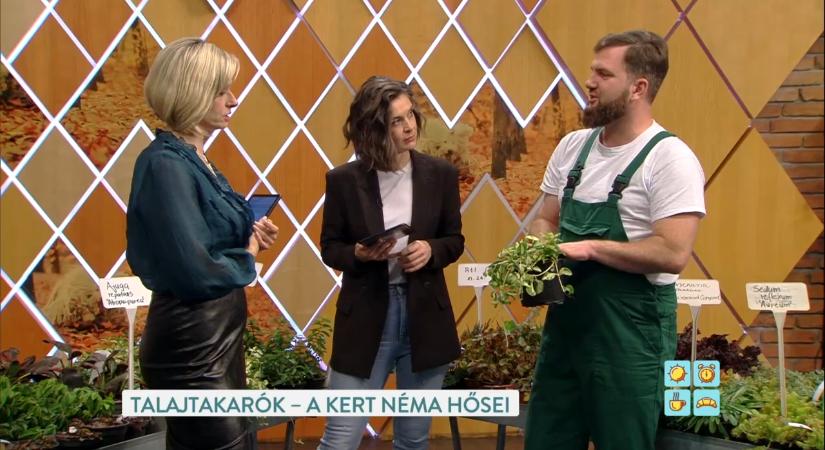 A talajtakaró növények a kert titkos fegyverei a gyomok és a kiszáradás ellen