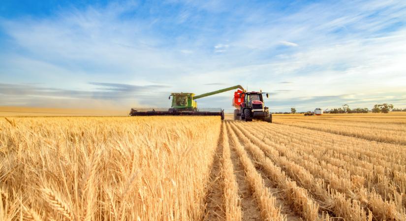 Kártevők inváziója fenyeget: már csak így lehet megállítani őket