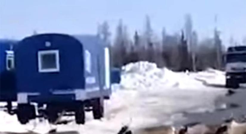 Olyan csodát láthatott a kamionos, amit rajta kívül nagyon kevesen – videó