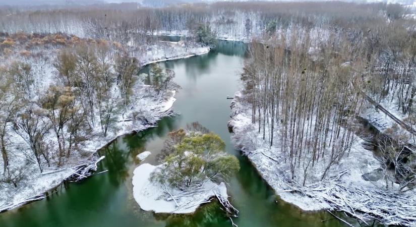Havas Szigetköz – téli látvány a Duna szigetvilágában