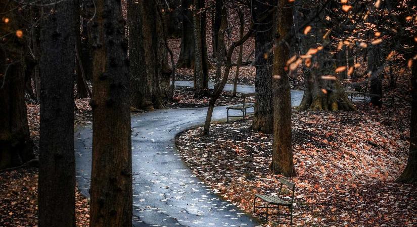 Kéthetes előrejelzés: felmelegedés, majd lehűlés következik