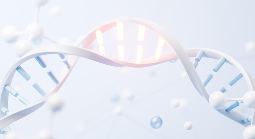 Vissza a fájdalommentes mozgás öröméhez, speciális hialuronsav és kollagén komplexxel