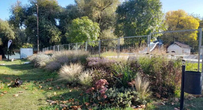 Magyarkanizsa nyerte a Virágos Magyarország környezet szépítő verseny határon túli fődíját