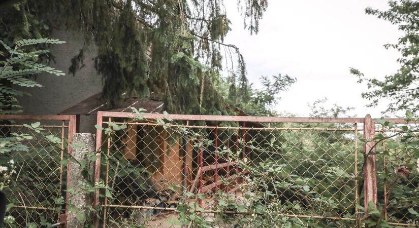 Biztonságosabbá vált a város, Apátiban csapott le a nyomozó