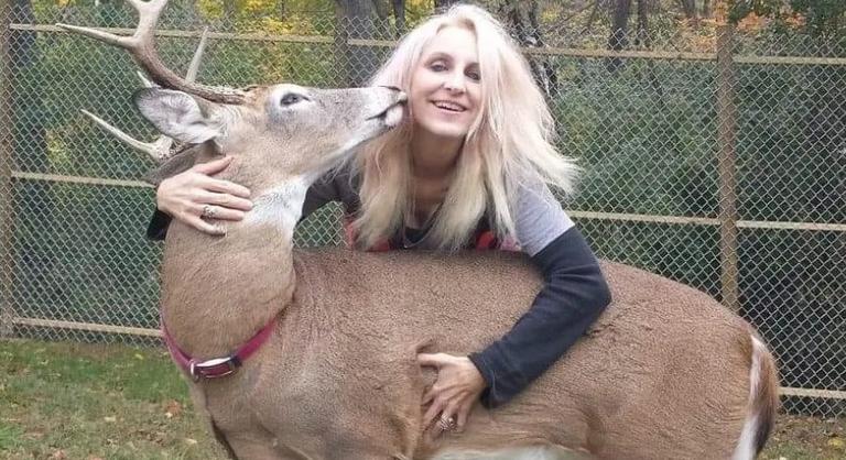Saját mentett szarvasa gyilkolta meg az állatvédő nőt