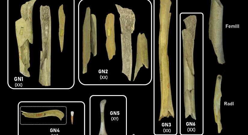 Újabb bizonyíték került elő a neandervölgyiek kannibalizmusáról