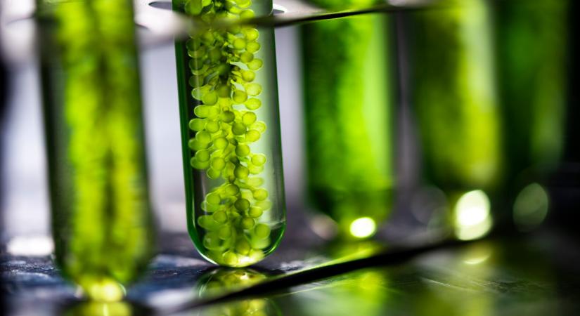 Kiszivárgott dokumentumból derült ki az EU nagy terve: mutatjuk