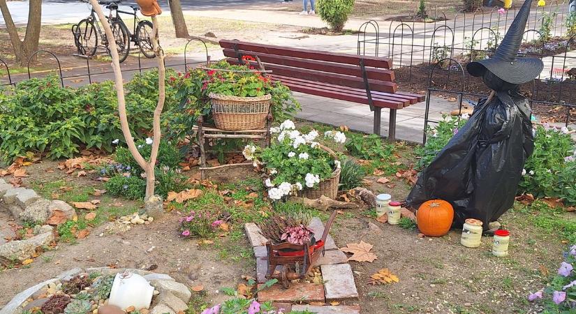 A paneldzsungel közepén áll egy különleges kert – érdemes megnézni