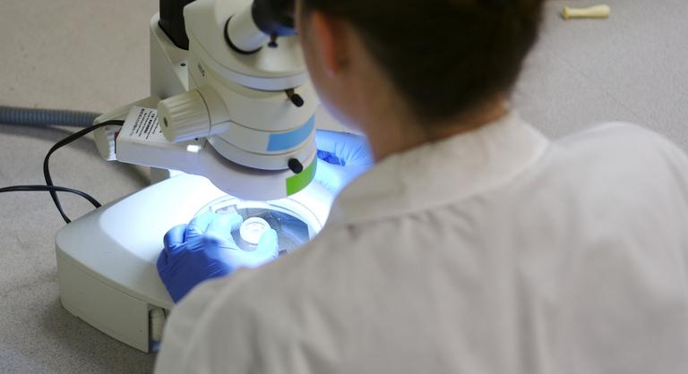 Világelső génterápia tett csodát egy hároméves kisfiúval