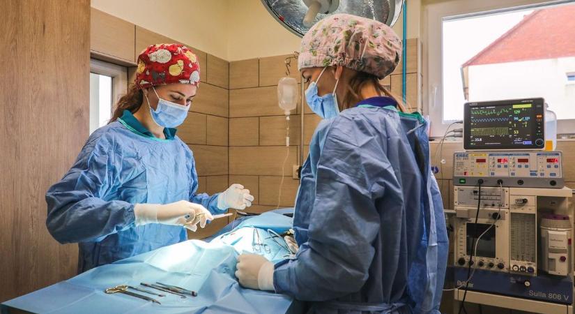 4 órát utazni a segítségért - mennyit ér egy állat élete?